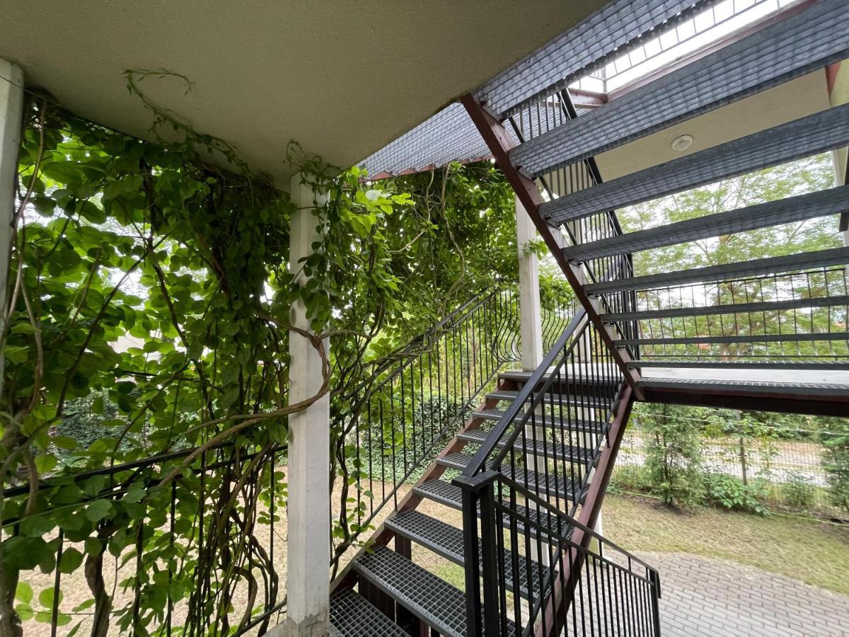 Stacja Akacja Homestay